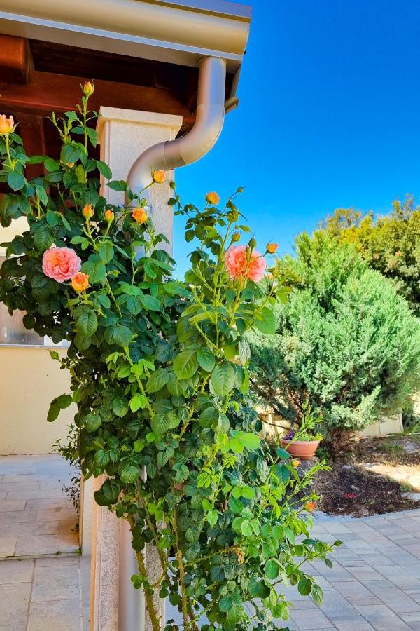 Holiday Home - Istrian Dream With Swimming Pool Peroj Esterno foto